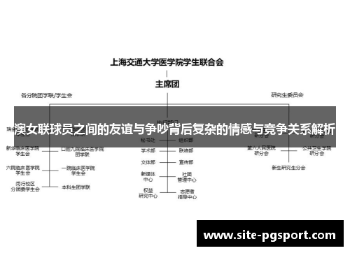 澳女联球员之间的友谊与争吵背后复杂的情感与竞争关系解析