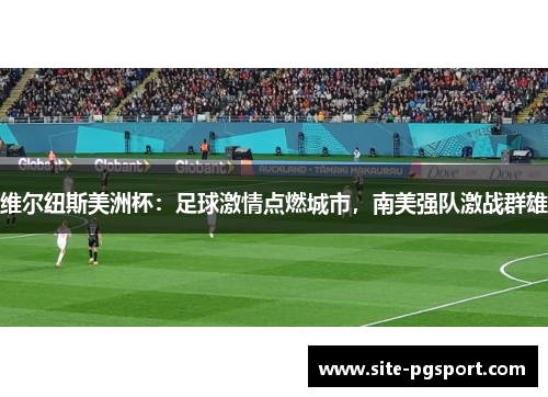 维尔纽斯美洲杯：足球激情点燃城市，南美强队激战群雄