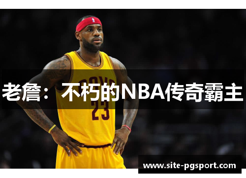 老詹：不朽的NBA传奇霸主