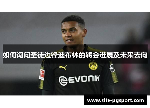 如何询问圣徒边锋迪布林的转会进展及未来去向