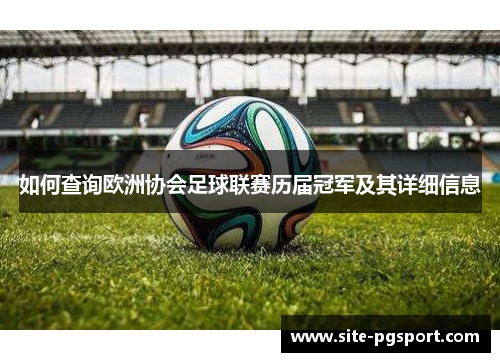如何查询欧洲协会足球联赛历届冠军及其详细信息