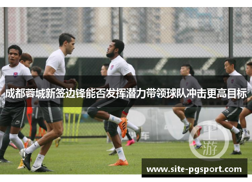 成都蓉城新签边锋能否发挥潜力带领球队冲击更高目标