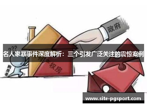 名人家暴事件深度解析：三个引发广泛关注的震惊案例