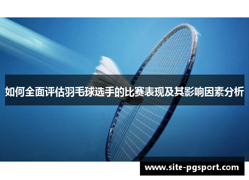 如何全面评估羽毛球选手的比赛表现及其影响因素分析