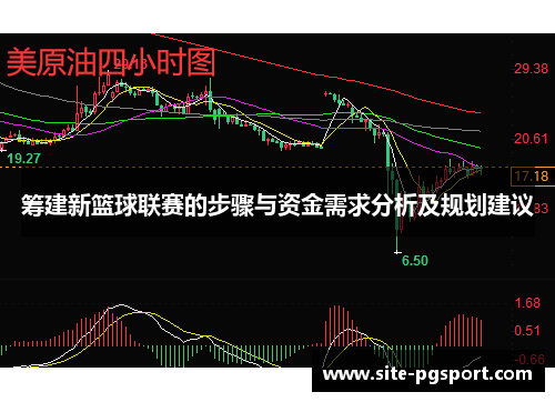 筹建新篮球联赛的步骤与资金需求分析及规划建议