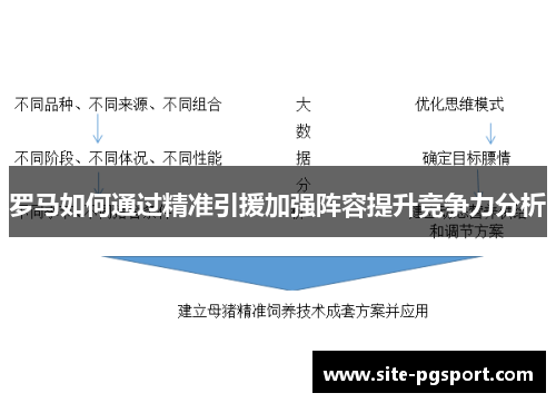 罗马如何通过精准引援加强阵容提升竞争力分析