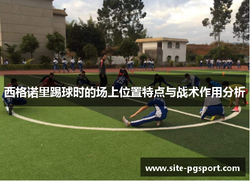 西格诺里踢球时的场上位置特点与战术作用分析 西格诺里踢球时的场上位置特点与战术作用分析