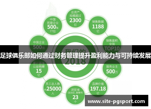 足球俱乐部如何通过财务管理提升盈利能力与可持续发展
