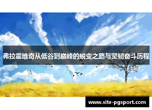 弗拉霍维奇从低谷到巅峰的蜕变之路与坚韧奋斗历程