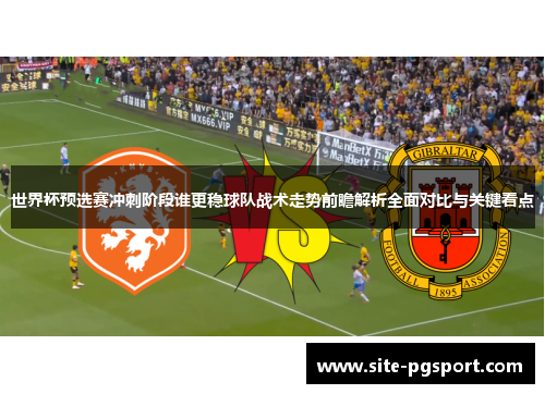 世界杯预选赛冲刺阶段谁更稳球队战术走势前瞻解析全面对比与关键看点