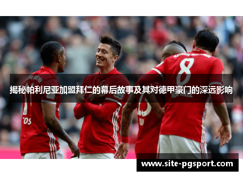 揭秘帕利尼亚加盟拜仁的幕后故事及其对德甲豪门的深远影响