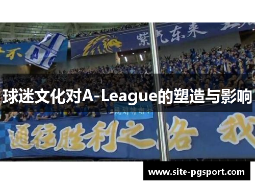 球迷文化对A-League的塑造与影响